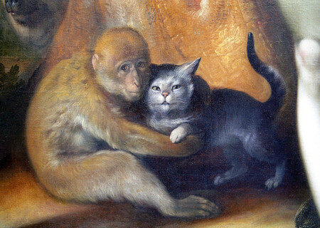 Roztomile vyhlížející kočička na obraze