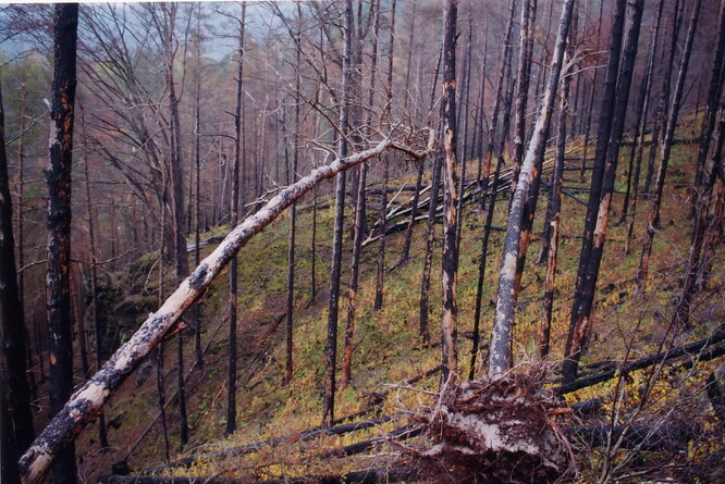 Havraní skála 2007.