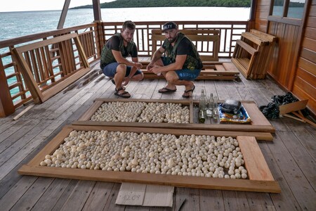 Michal Gálik (vlevo) a Tomáš Ouhel se zkonfiskovanými želvími vajíčky a&#8239;trhavinou.