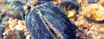 Foto: Jana Slezáková / Naše příroda