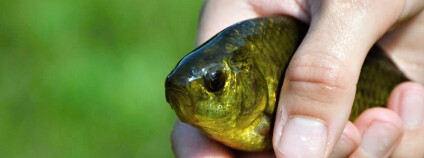 Foto: Marek Šmejkal