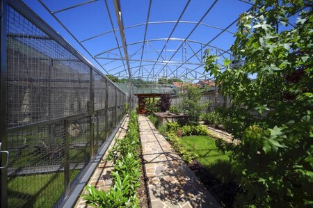 Zahradu tvoří 110 prostorných voliér, k vidění je asi 200 opeřenců v pěti desítkách druzích. Značnou část tvoří jihoameričtí papoušci, ale také papoušci z Austrálie či Afriky. Ročně zařízení navštíví přes 20.000 lidí. / Na snímku Papouščí zoologická zahrada v Bošovicích