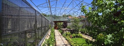 Foto: Papouščí zoologická zahrada 