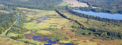 foto: RNDr. Jan Ševčík / CHKO Třeboňsko