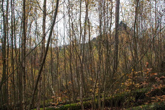 Havraní skála 2016.