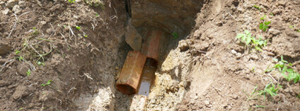 Foto: Jaromír Maštera / Mokřady z. s.