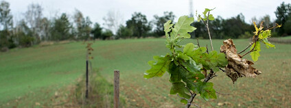 Foto: Štěpán Jindra / Sedmá generace