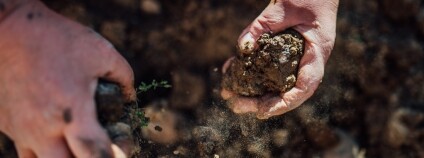 Foto: Ivan Radic / Flickr