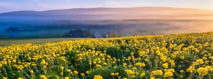 Foto: Jana Aulichova / Zaostřeno na Jizerky