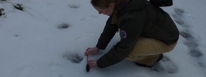 foto: ochranaprirody.cz