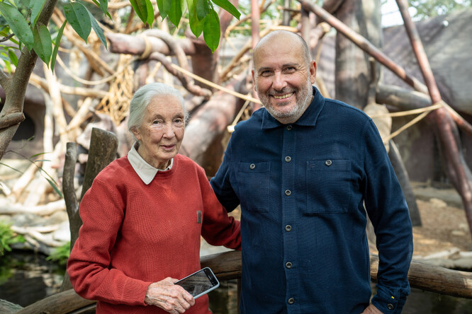 Jane Goodall v Indonéské džungli s ředitelem Zoo Praha Miroslavem Bobkem. 