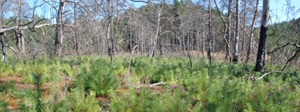 Foto: Martin Adámek / archiv autora