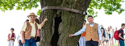 Dubisko valašisko Foto: Nadace Partnerství