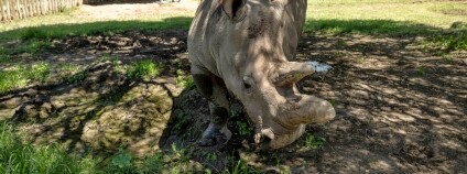 Foto:  Jon A. Juárez