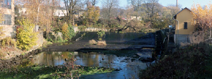 Foto: Český rybářský svaz, Severočeský územní svaz