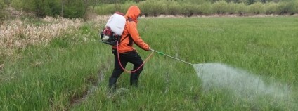 Foto: Vlastimil Sajfrt / Agentura ochrany přírody a krajiny ČR