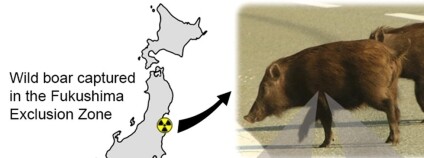 Foto: Environment International