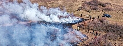 Řízené vypalování Správy NP Podyjí Foto: M. Buršík NP Podyjí