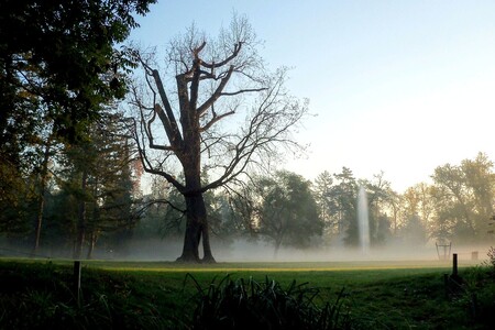 S jedním ze svých nejstarších obyvatel se musela v březnu rozloučit pražská Stromovka.