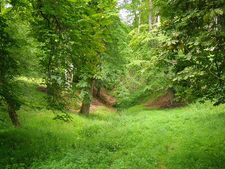 Obora se rozkládá kolem zříceniny hradu Hukvaldy a jeho blízkého okolí a má rozlohu zhruba 440 hektarů.