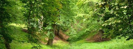 Foto: Daniel Baránek / Wikimedia Commons