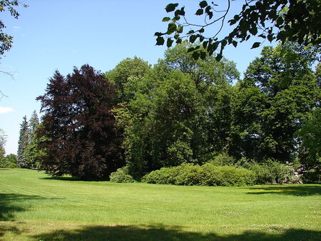 Královéhradecký kraj upravil vymezení přírodní rezervace Kostelecký zámecký park (na obázku) v Kostelci nad Orlicí na Rychnovsku. Plocha přírodní rezervace, kterou vyhlásil v listopadu 1995 Okresní úřad v Rychnově nad Kněžnou, bude téměř o jeden hektar menší.