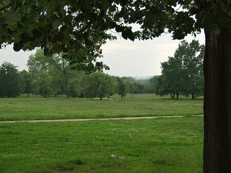 Na Letenské pláni má vzniknout rybník. Ilustrační snímek.