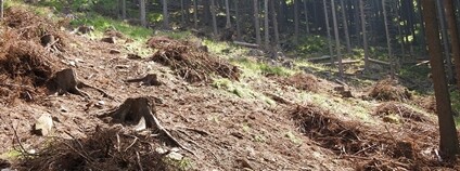 Společnost přátel Jeseníků,