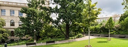 Foto: Čelakovského sady a okolí Národního muzea