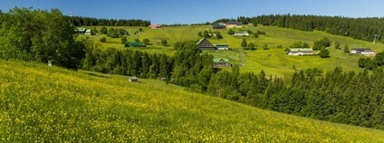 Krkonošské horské louky Foto: Kamila Antošová Správa KRNAP
