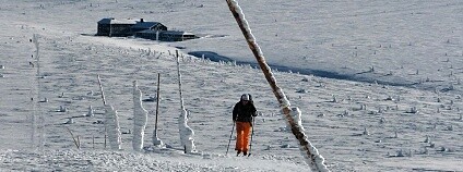 Foto: Markéta Syllová