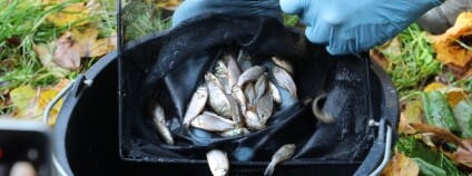 Foto: Miroslav Bobek / Zoo Praha