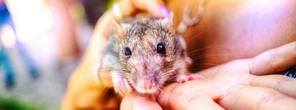 Foto: Rachele Totaro - Fotografia / Facebook