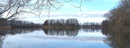 Nový Vrbenský rybník u Českých Budějovic Foto: Mgr. Zdeněk Kubeš Wikimeda Commons