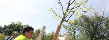 foto:  Blanka Martinovská / www.olomouc.eu