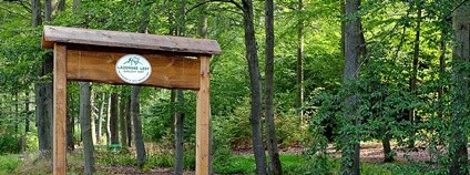 Lázeňské lesy v Karlových Varech Foto: Lubor Ferenc Wikimedia Commons