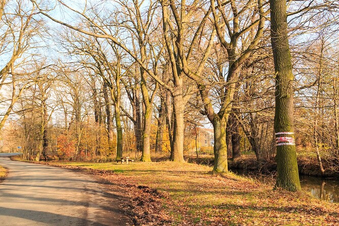 Opatovický kanál ze silnice do Neratova.