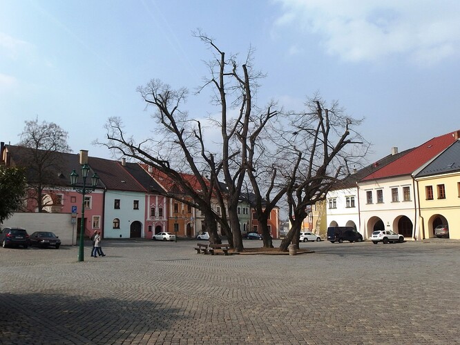 Kmeny pokácených lip nabídne město studentům tovačovské řezbářské školy, zpět do města by se mohly poté vrátit v podobě plastik.