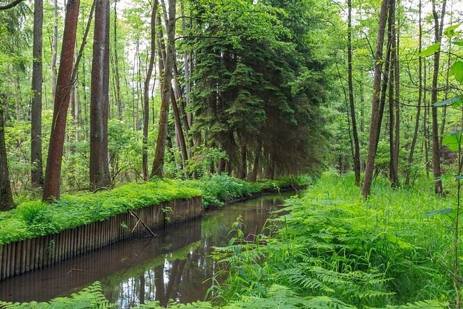 Vodní kanál Alba v PP Týnišťské Poorličí.