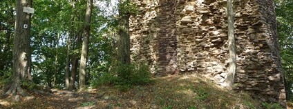 Hrad Pyšolec v přírodní rezervaci Foto: Le.sou Wikimedia Commons