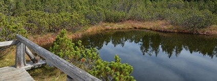 Tříjezerní slať Foto: Pavel Špindler Wikimedia Commons