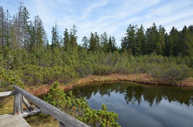 Například k Tříjezerní slati, která se nachází u Kvildy na Prachaticku, se přišlo podívat zhruba 35 000 lidí. Loni jich bylo téměř 65 000.