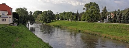 Svratka v Židlochovicích Foto: RomanM82 Wikimeda Commons