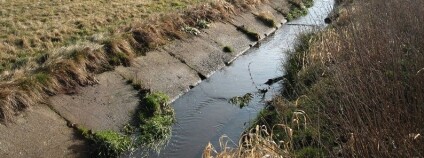 Foto: AOPK - Agentura ochrany přírody a krajiny ČR, Regionální pracoviště Střední Čechy