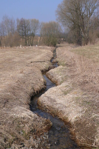 Koryto v minulosti technicky upravené, jehož přírodní charakter se obnovuje procesy samovolné renaturace.