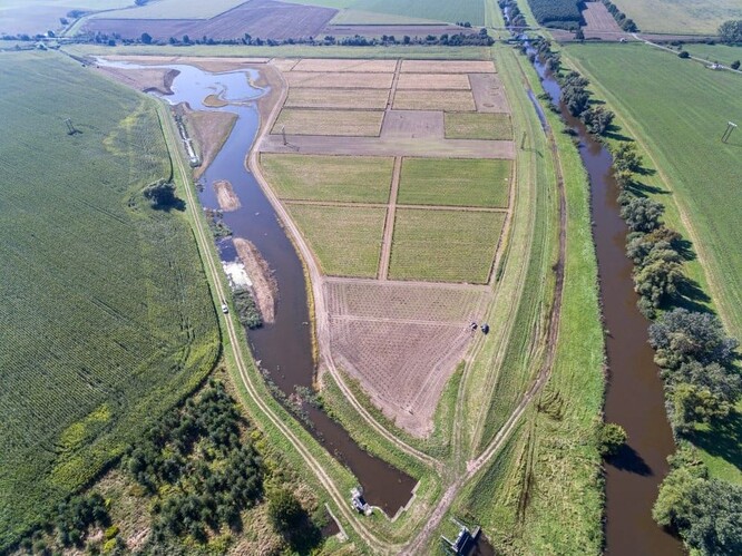 Mezi Baštýnským potokem a řekou Dyjí byl vasázen základ nového lužního lesa.