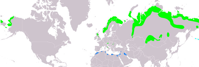 Mapa rozšíření kulíka hnědého.