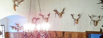 Foto: ŠJů / Wikimeda Commons