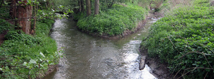 Foto: Miloš Dvořák / KIC Rosice