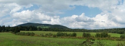 Foto: Jitka Erbenová / Wikimedia Commons